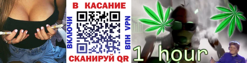 МЕФ Чита