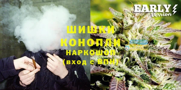 прущие крисы Горняк