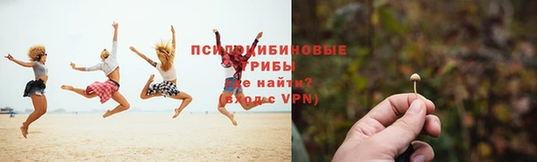 прущие крисы Горняк